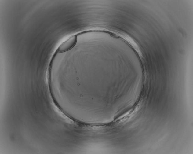 X0000111200958200907221127