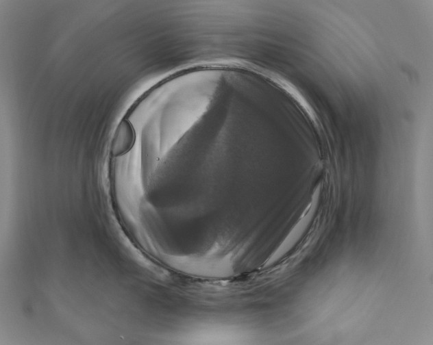 X0000111200959200907221127