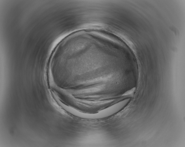 X0000111200960200907221127