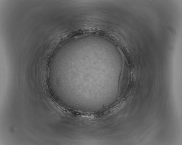 X0000111200961200907221126