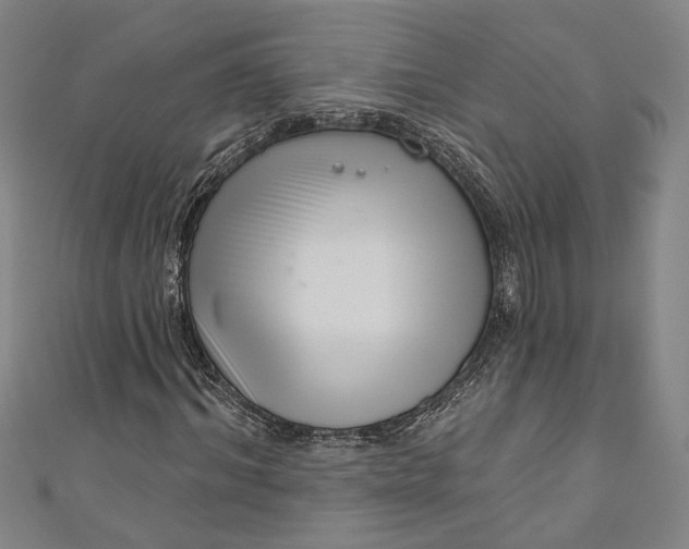 X0000111200964200907221126