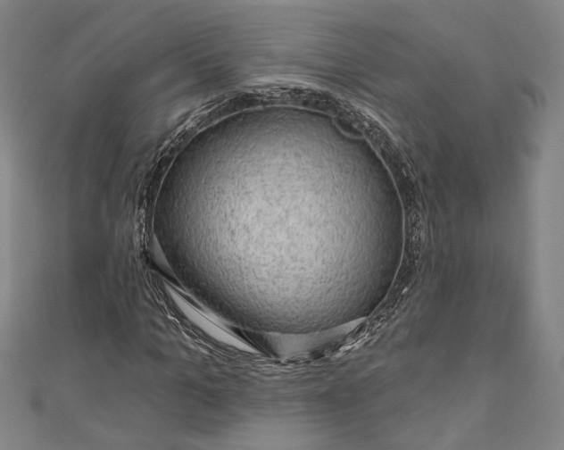 X0000111200965200907221126