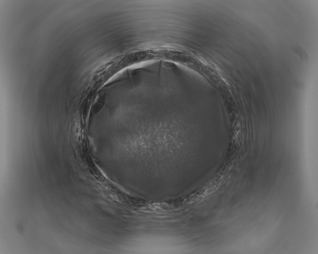 X0000111200966200907221126