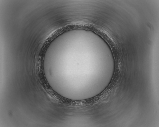 X0000111200968200907221126