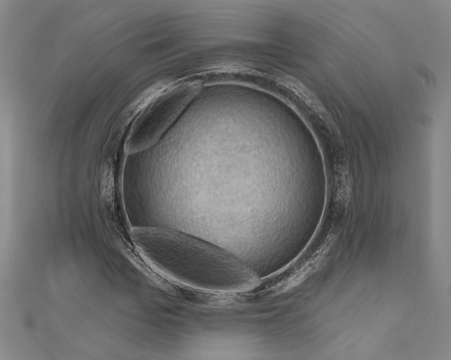 X0000111200969200907221126