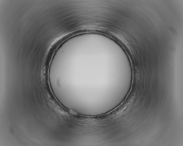 X0000111200971200907221126