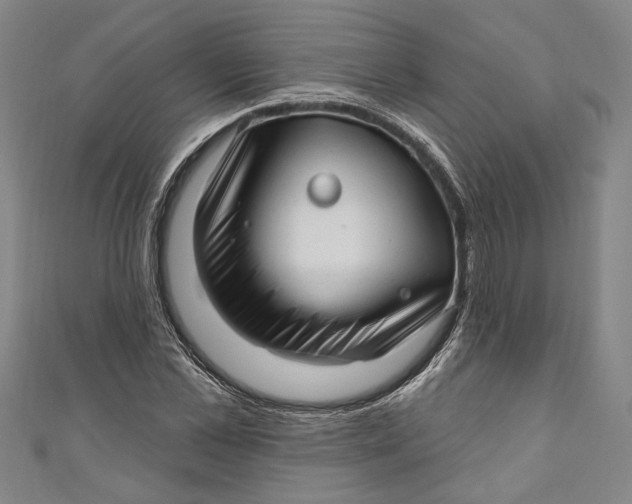 X0000111200973200907221126