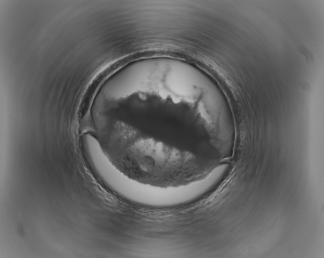 X0000111200975200907221126