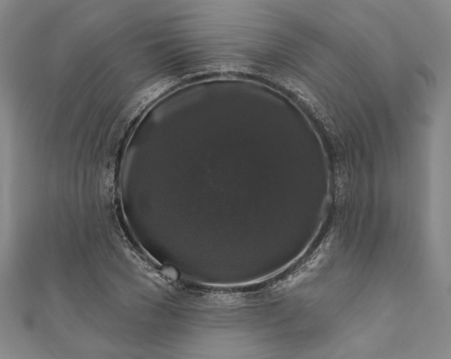 X0000111200977200907221126