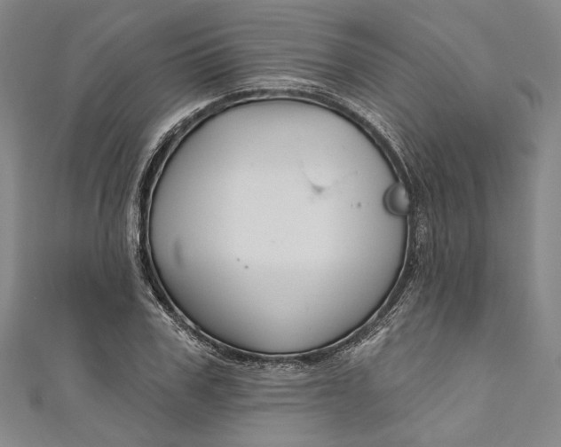 X0000111200979200907221126