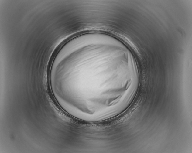 X0000111200980200907221126