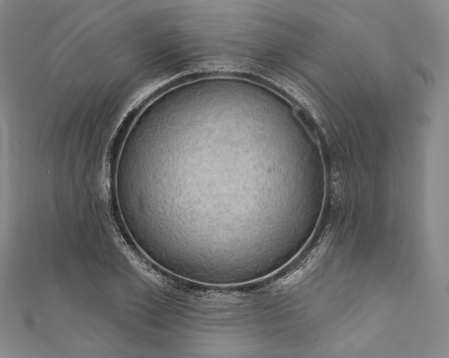 X0000111200981200907221126