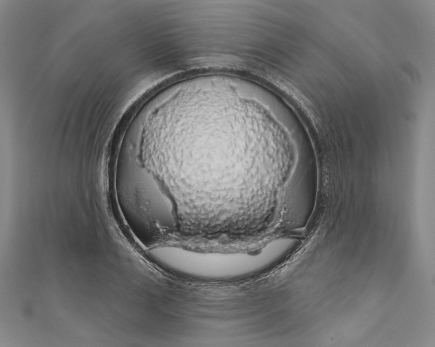 X0000111200983200907221126