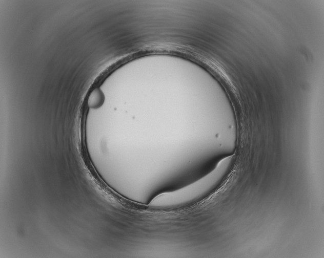 X0000111200984200907221126