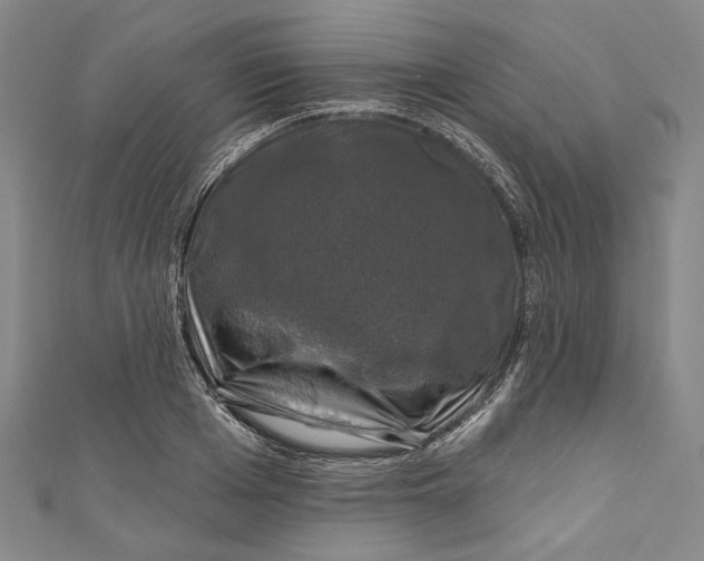 X0000111200985200907221126