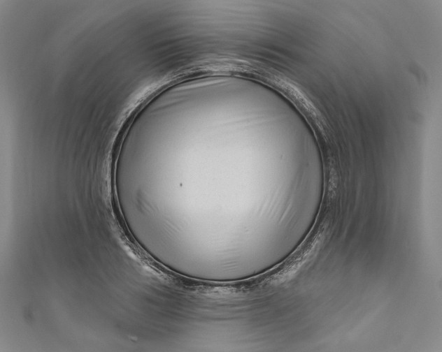 X0000111200986200907221126