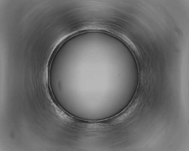 X0000111200988200907221126