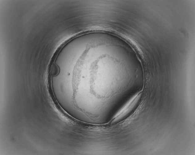 X0000111200991200907221126