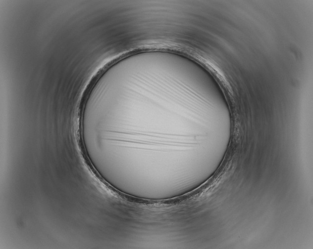 X0000111200992200907221126