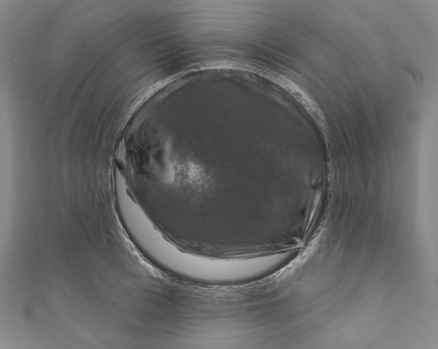 X0000111200993200907221126