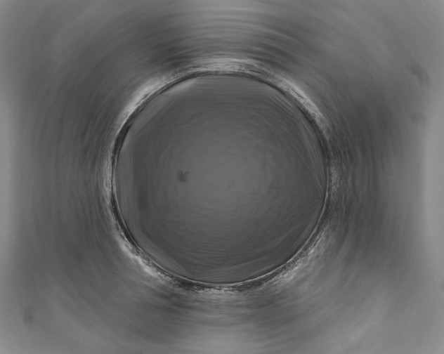 X0000111200994200907221126