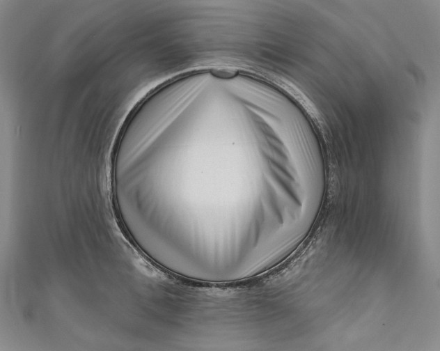 X0000111200996200907221126