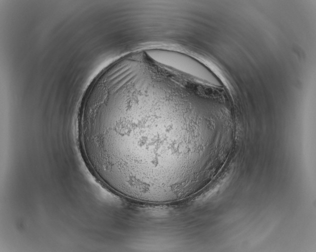 X0000111200999200907221126