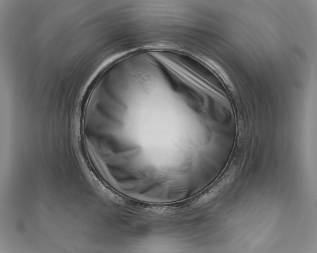 X0000111201000200907221126