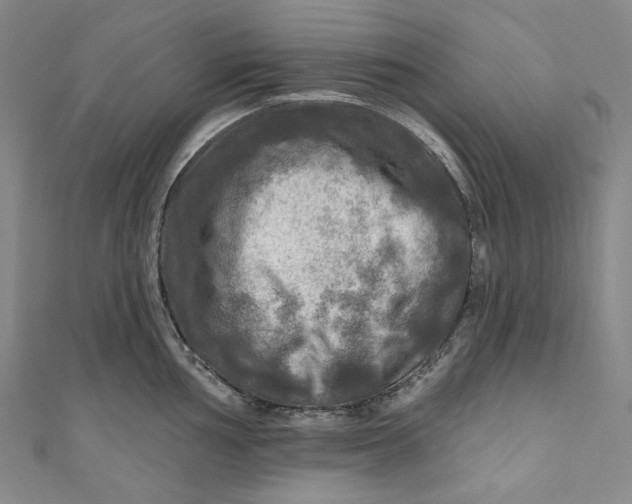 X0000111201002200907221126