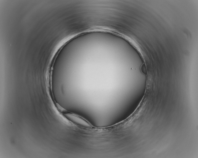 X0000111201003200907221126