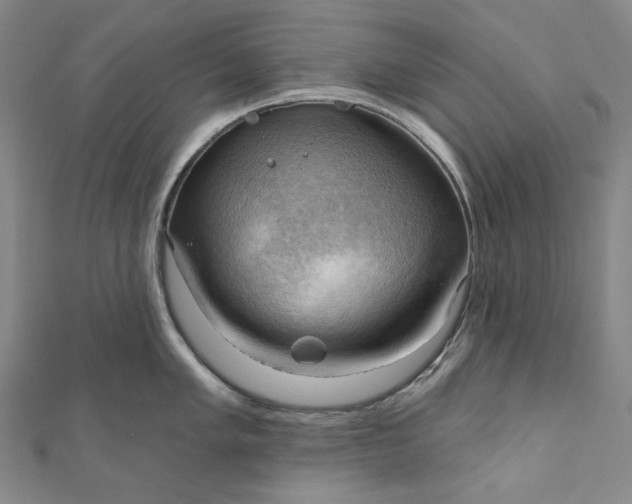 X0000111201005200907221126