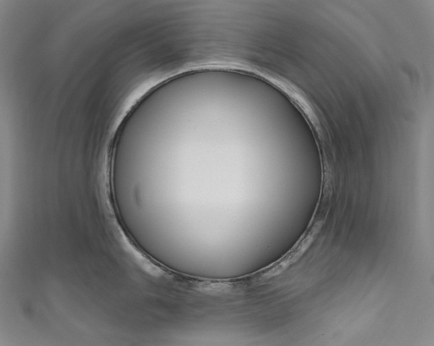 X0000111201006200907221126