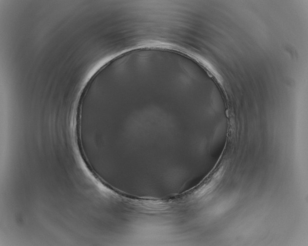 X0000111201007200907221126