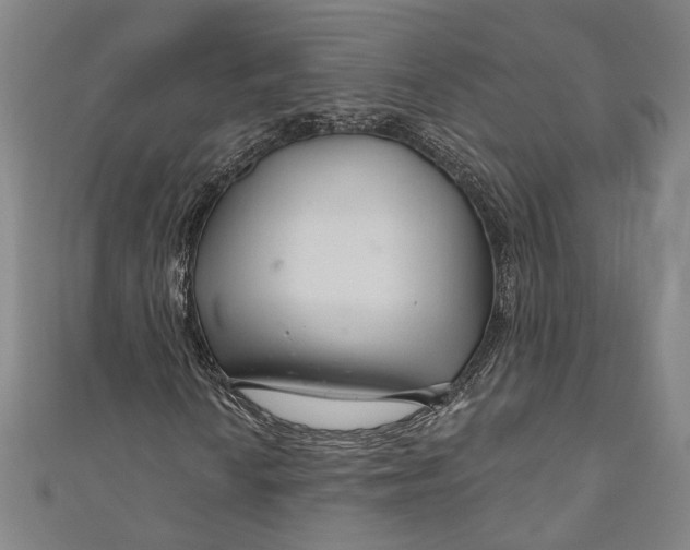 X0000111201010200907221125