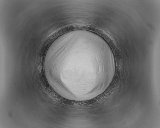 X0000111201015200907221125