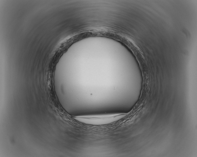 X0000111201016200907221125