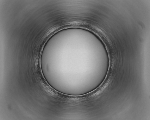 X0000111201017200907221125