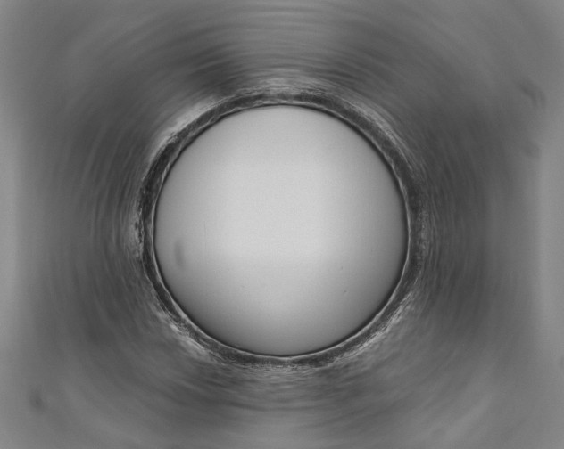 X0000111201018200907221125