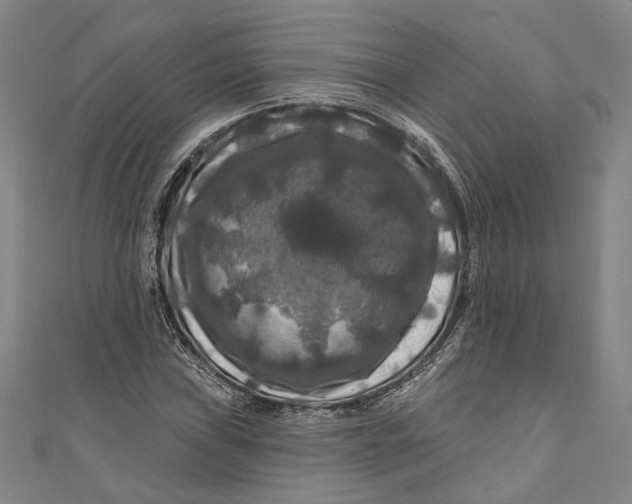 X0000111201019200907221125