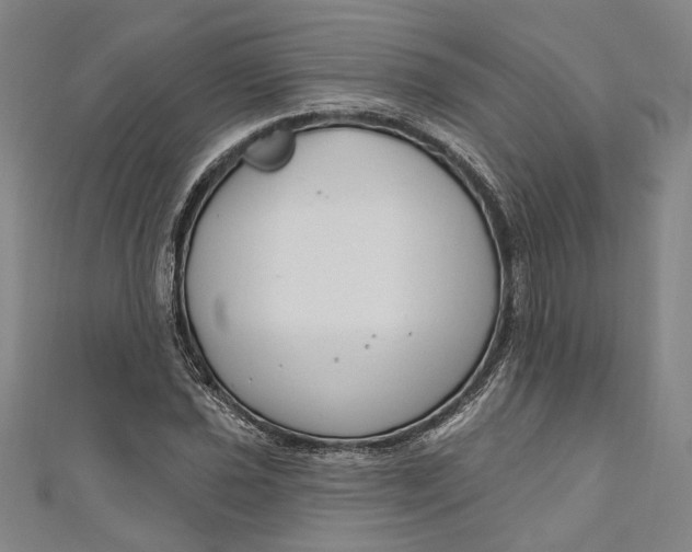 X0000111201021200907221125