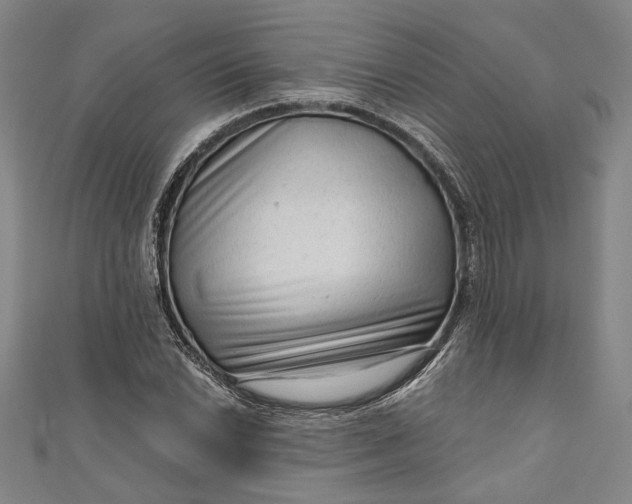 X0000111201022200907221125