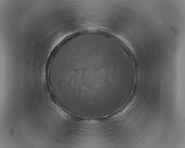 X0000111201023200907221125