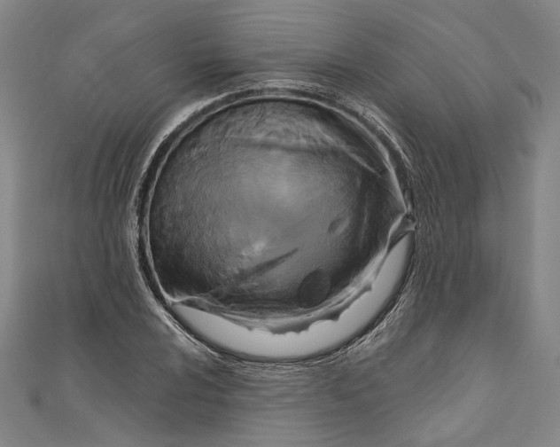 X0000111201024200907221125