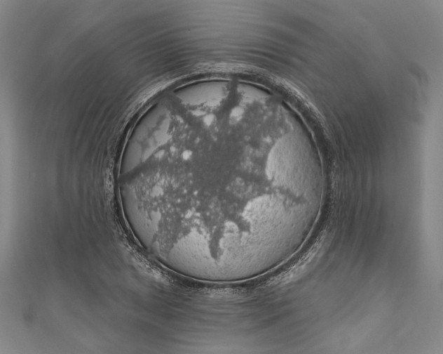 X0000111201025200907221125