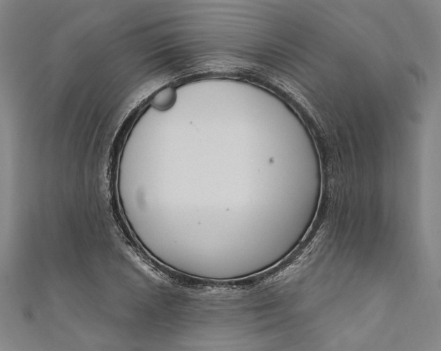 X0000111201026200907221125