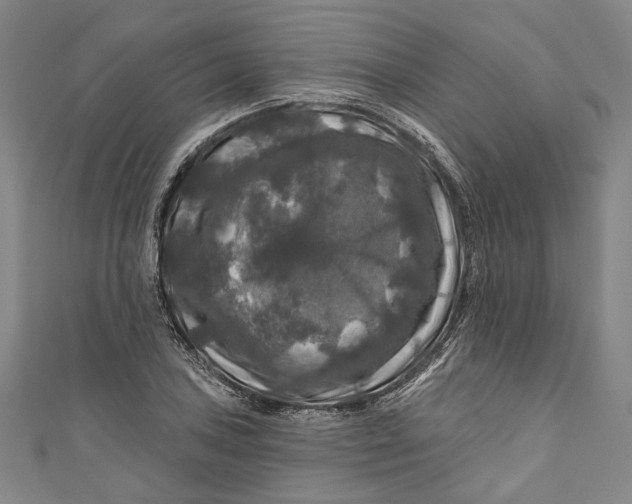 X0000111201027200907221125