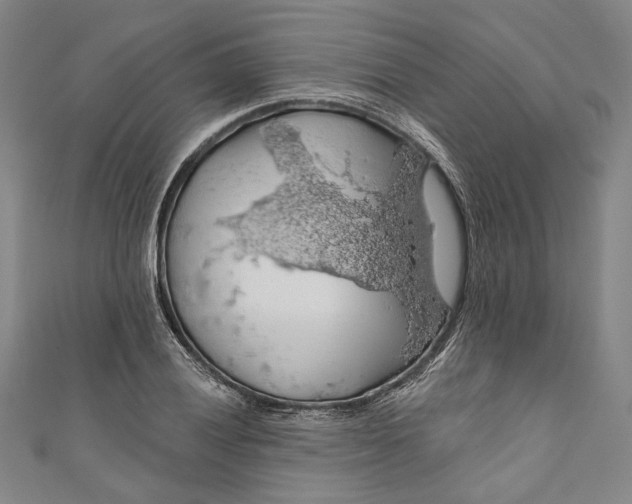 X0000111201028200907221125