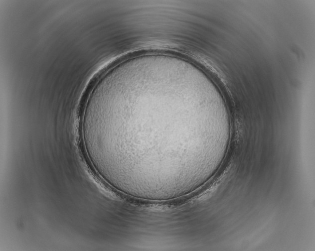 X0000111201029200907221125