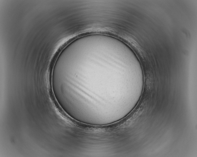 X0000111201030200907221125