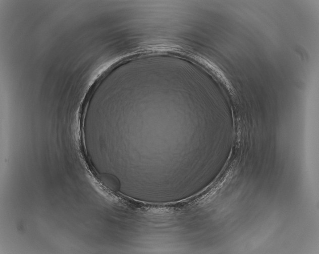 X0000111201031200907221125